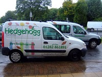 hedgehogg florist 1066798 Image 2